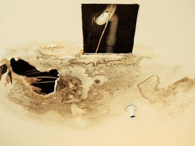 Professional water damage restoration services in Robert